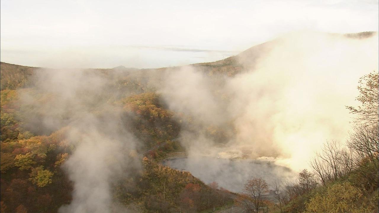 Wild Hokkaido!