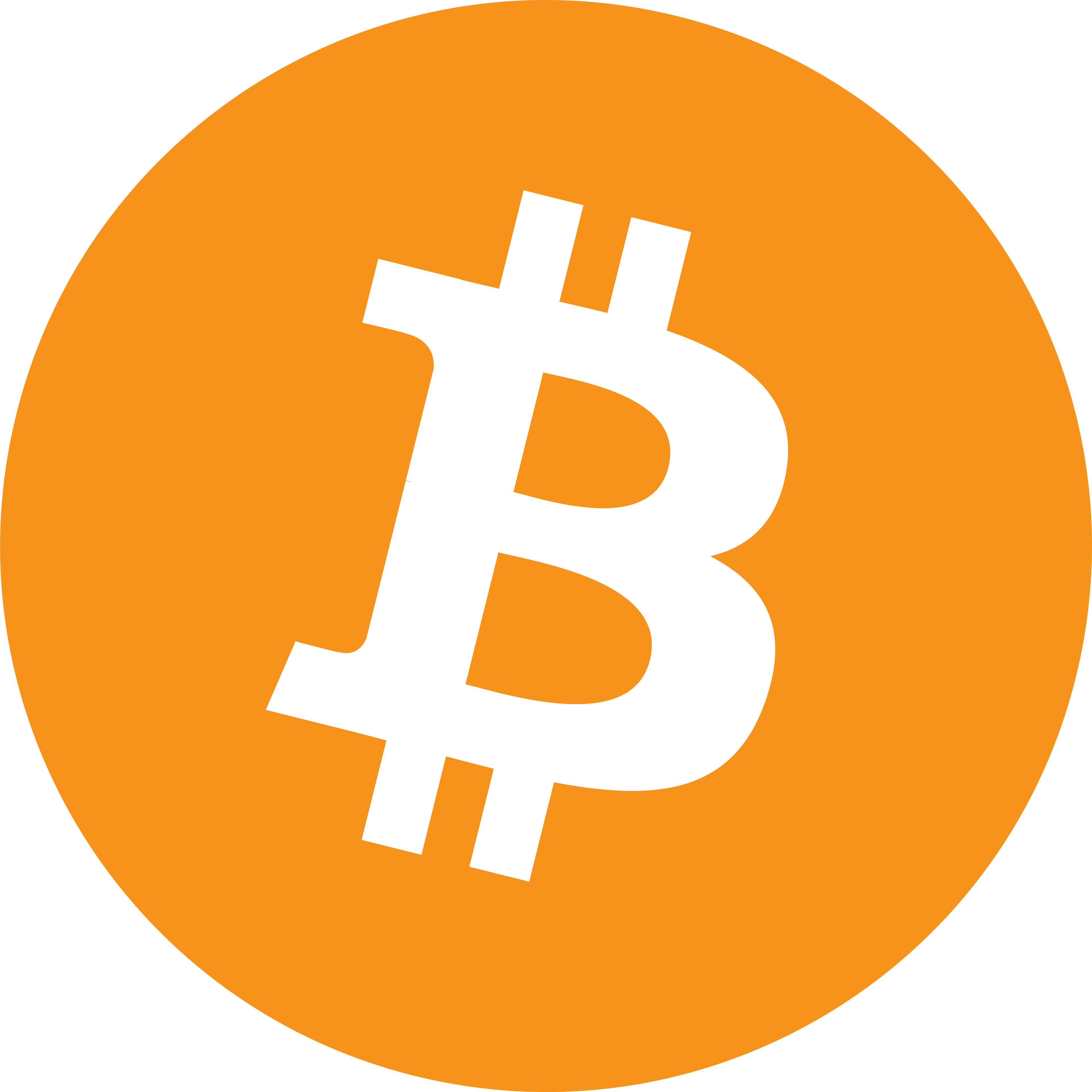 The Bitcoin Gospel