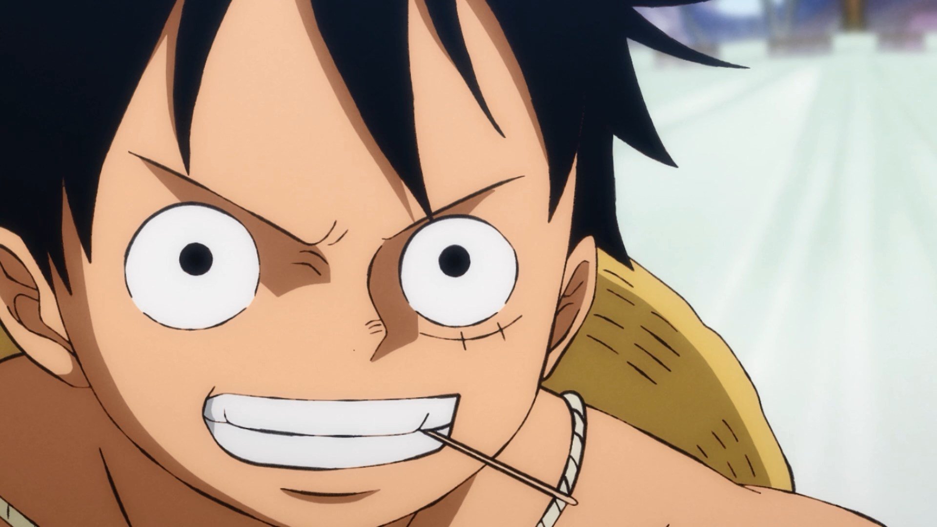 One Piece Season 21 :Episode 903  A Climactic Sumo Battle! Straw Hat vs. the Strongest Ever Yokozuna!