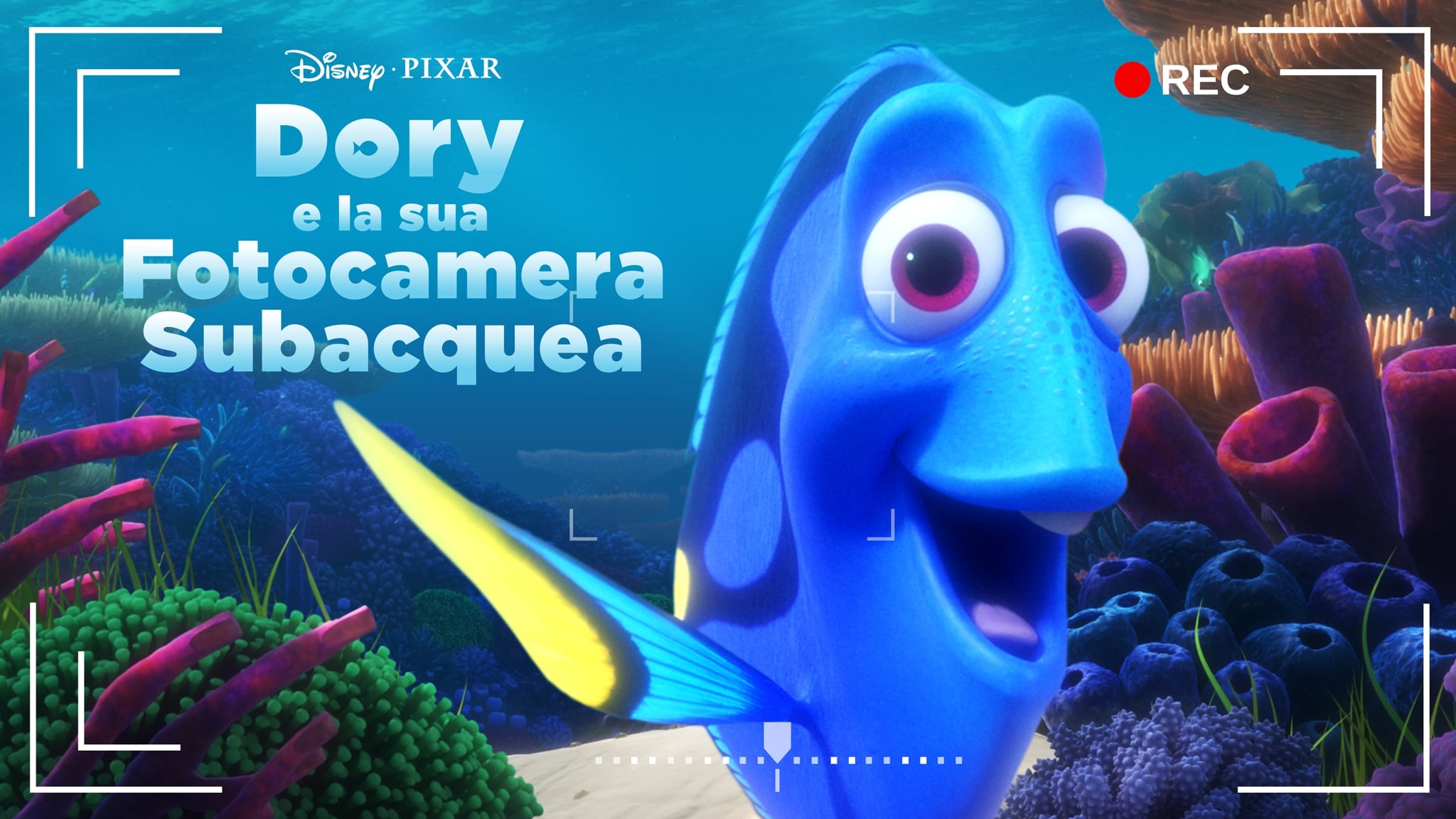 Dory's Reef Cam