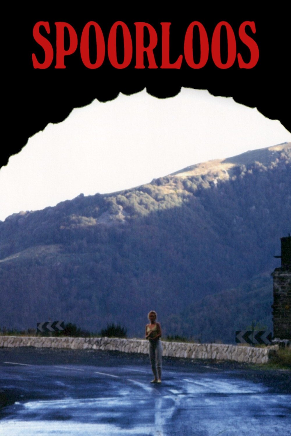 The Vanishing image