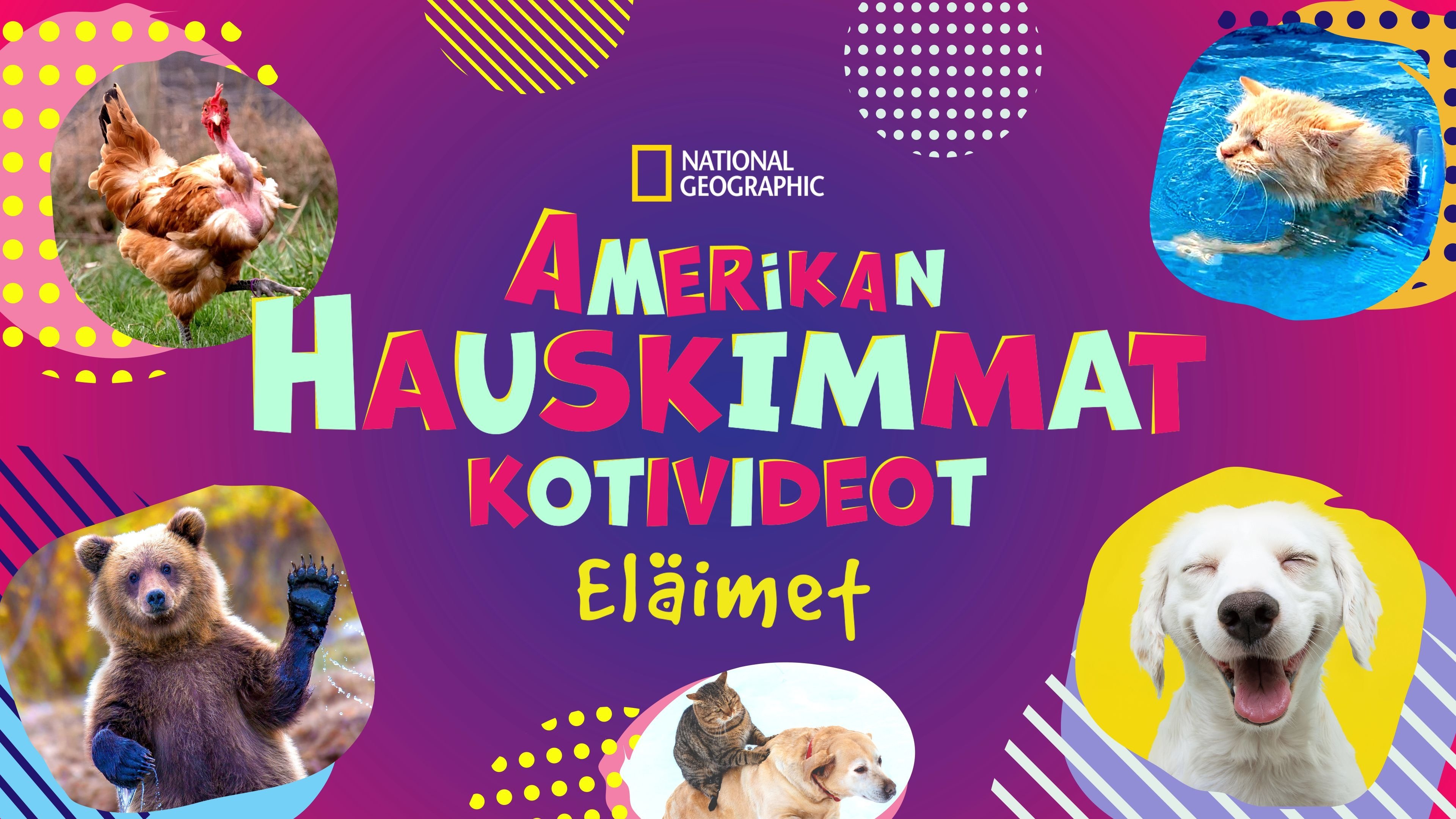America's Funniest Home Videos: Animal Edition