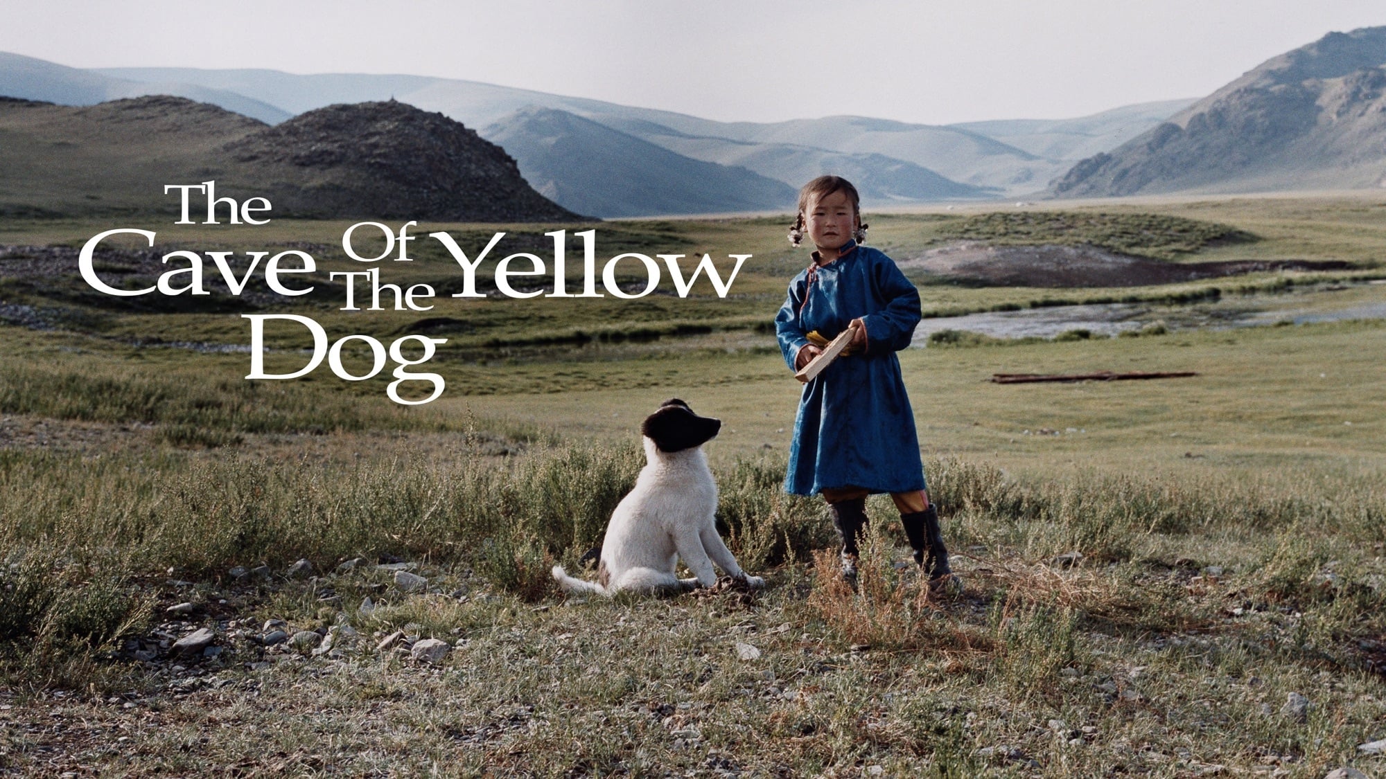 Il cane giallo della Mongolia (2005)