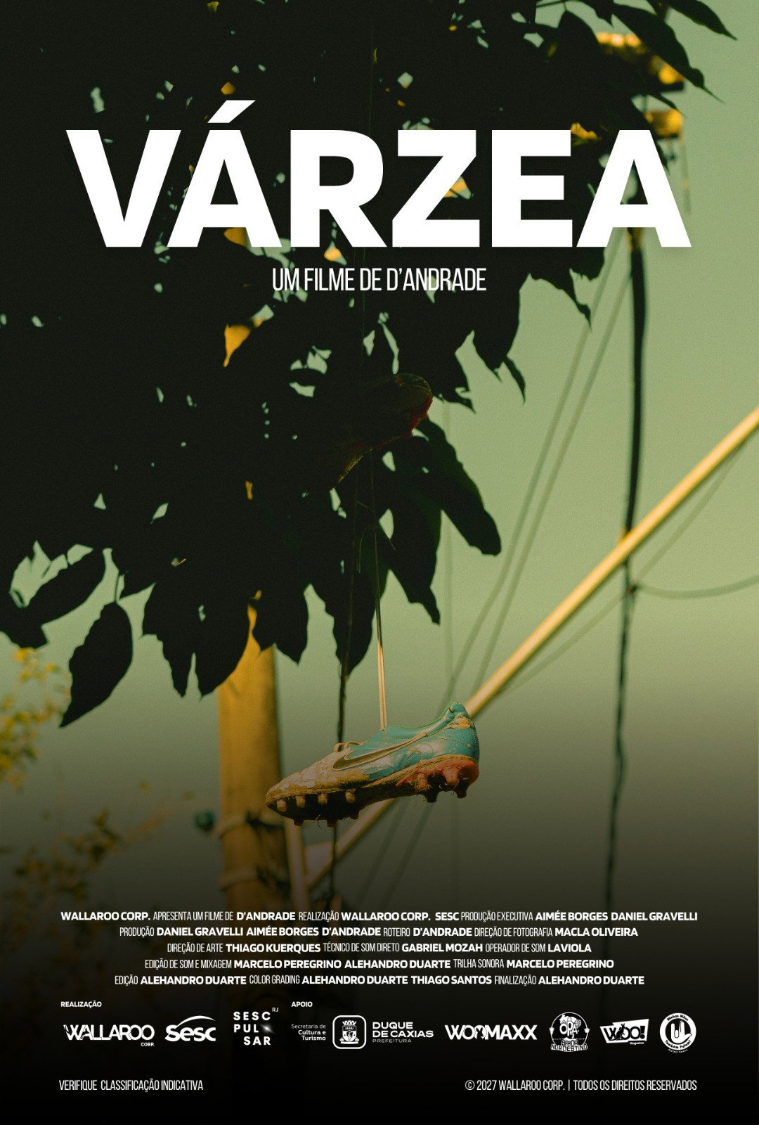 Várzea