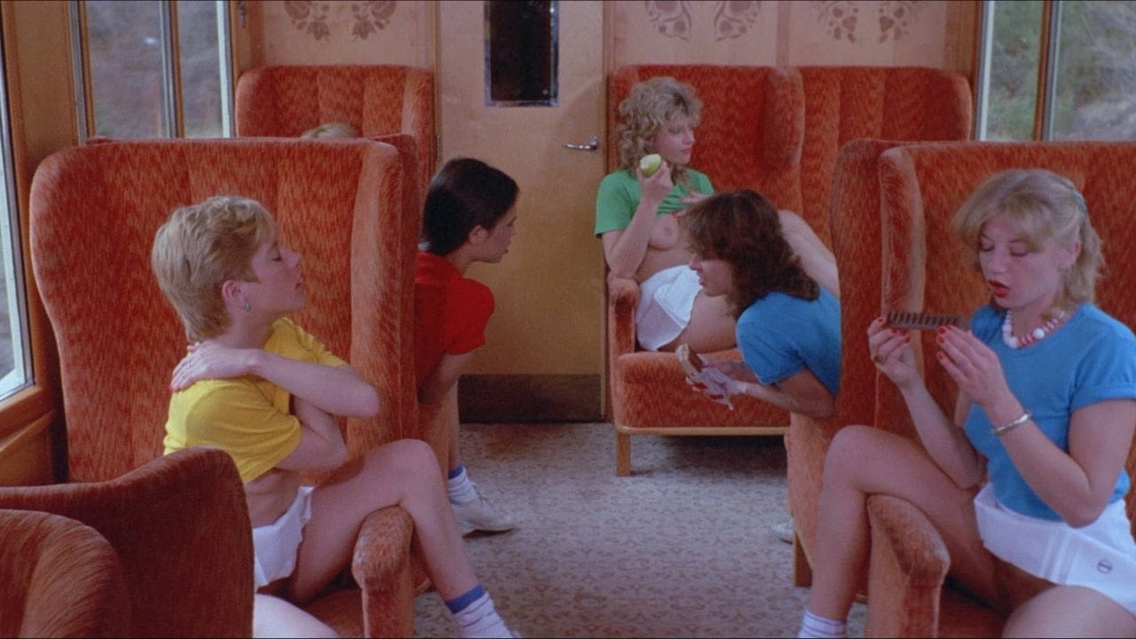 六个瑞典女孩在阿尔卑斯山 (1983)