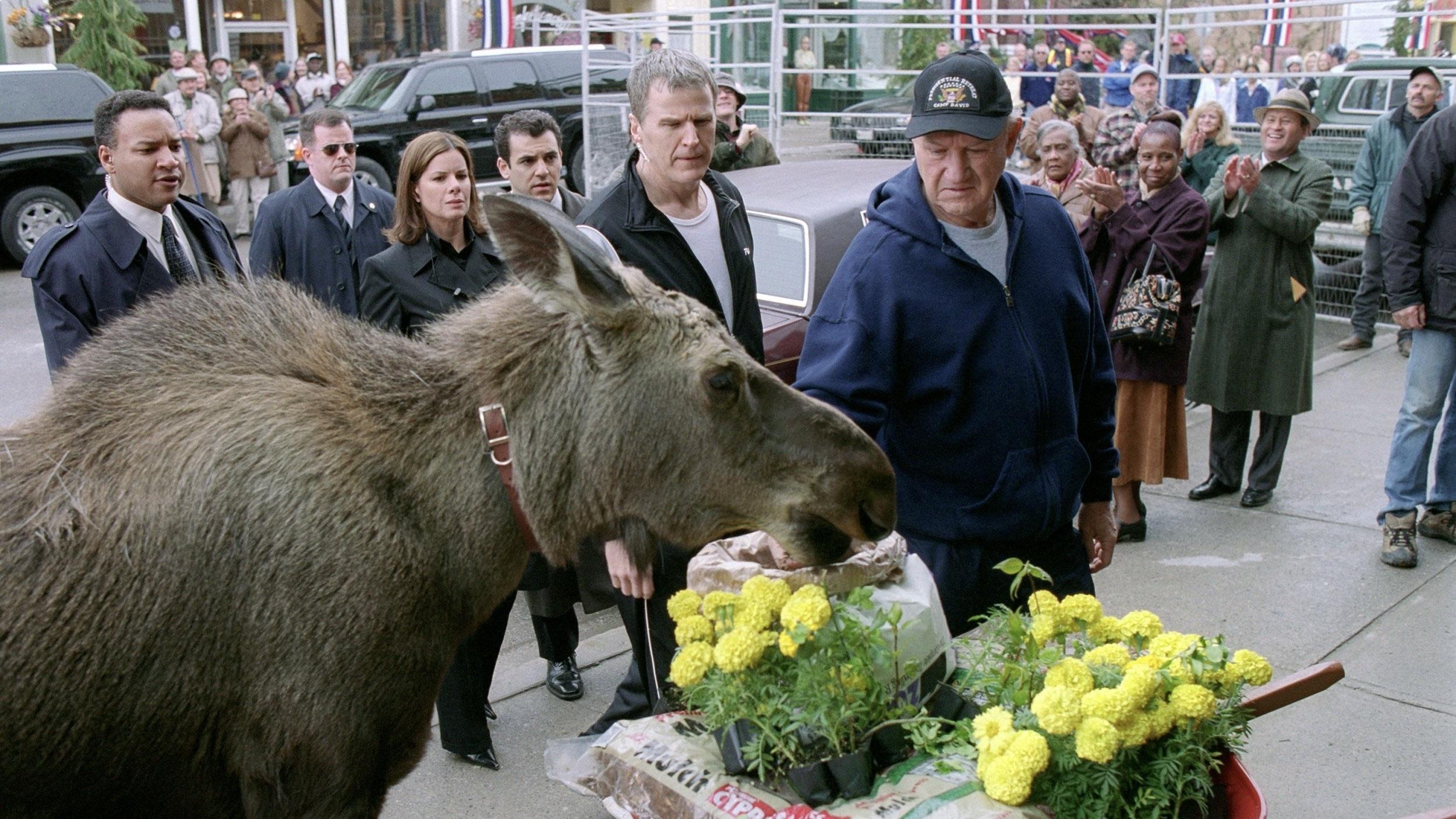 Welcome to Mooseport (2004)