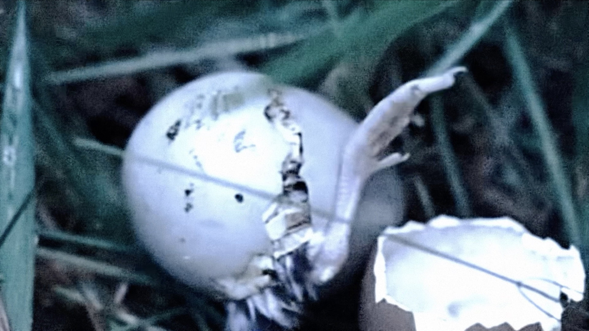 Purgatory for Epiphanea