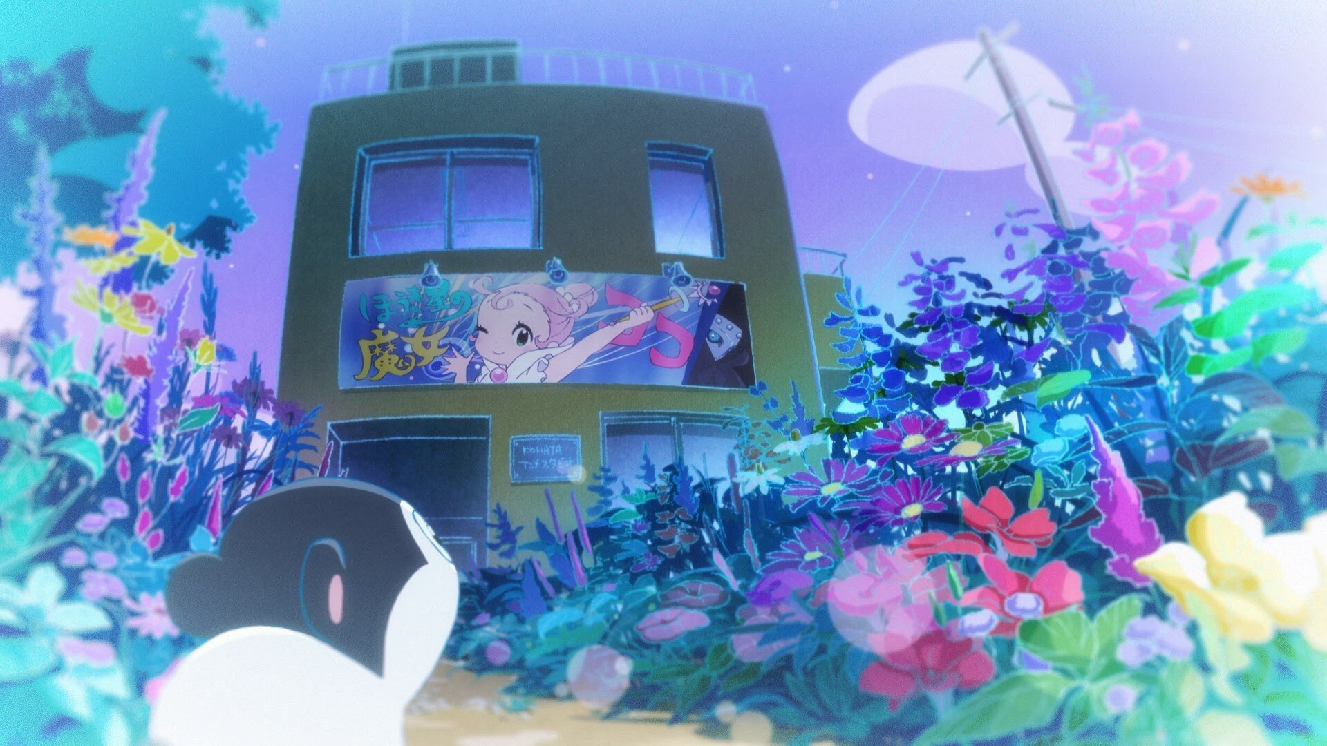 Baja's Studio (2017)