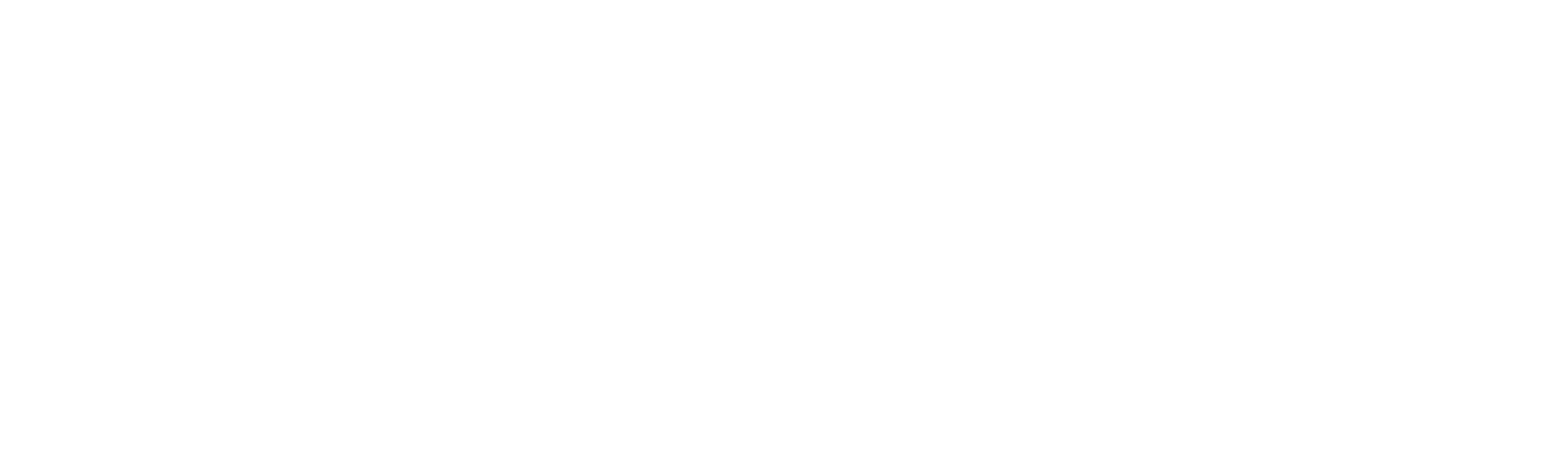 Stray Logo