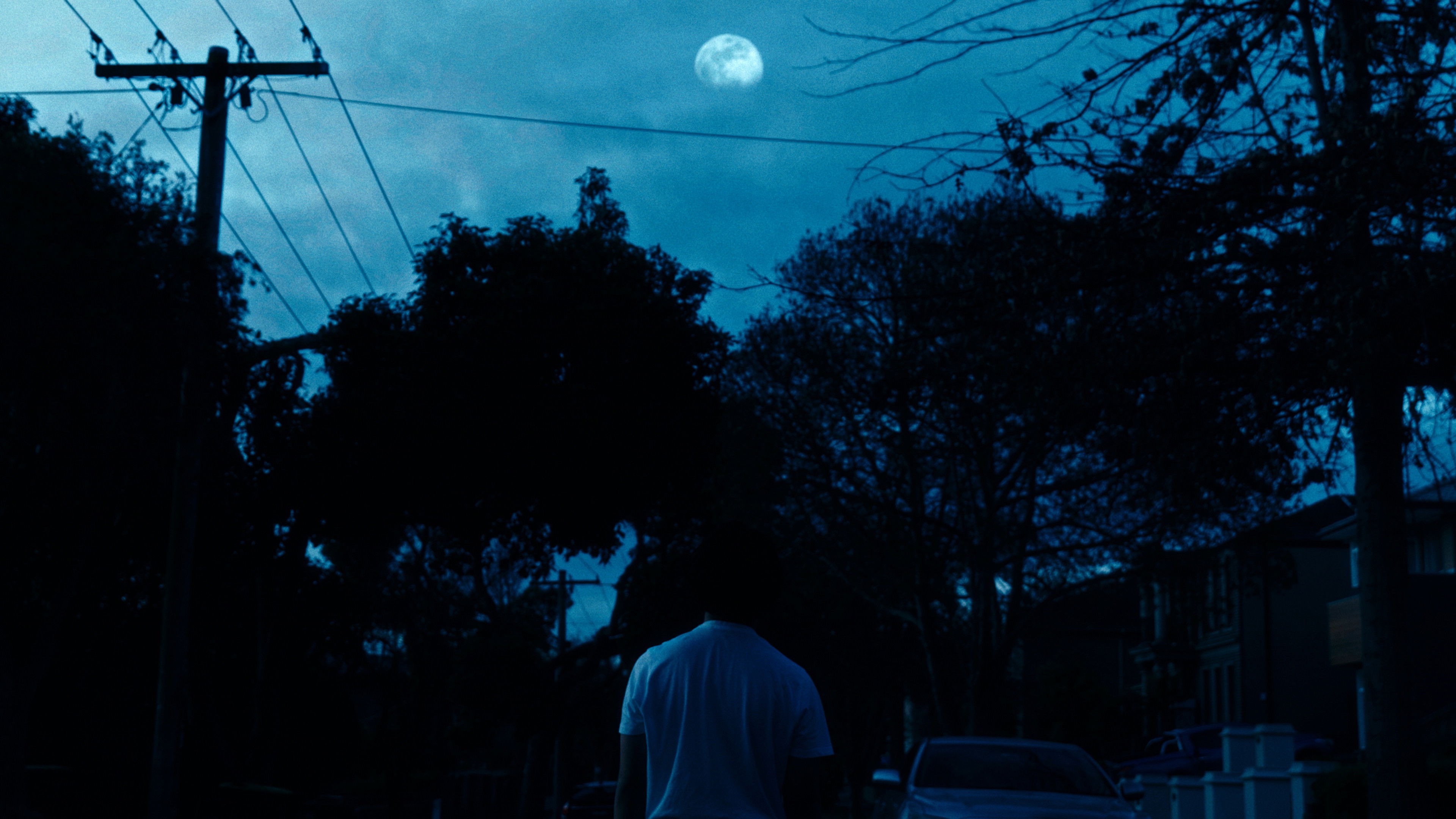 Steady, As She Goes Backdrop Blur