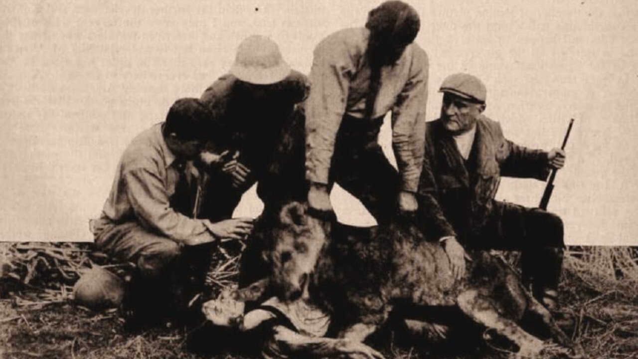 Alone in the Jungle (1913)