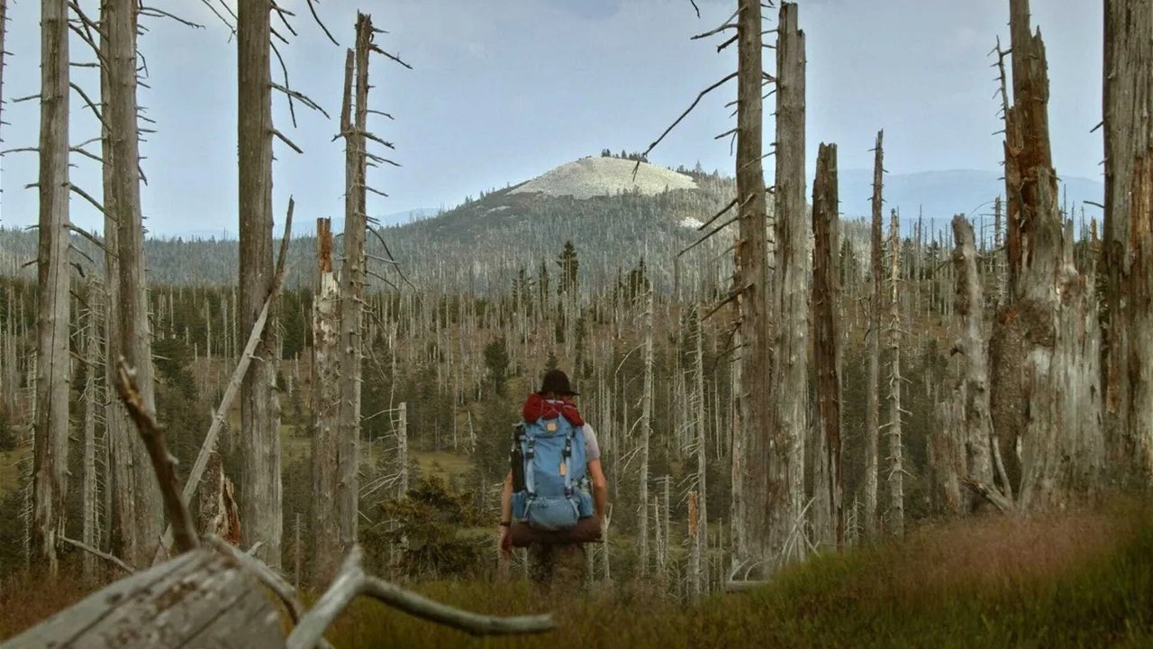 Quand la forêt reprend ses droits - Le parc national de la forêt de Bavière