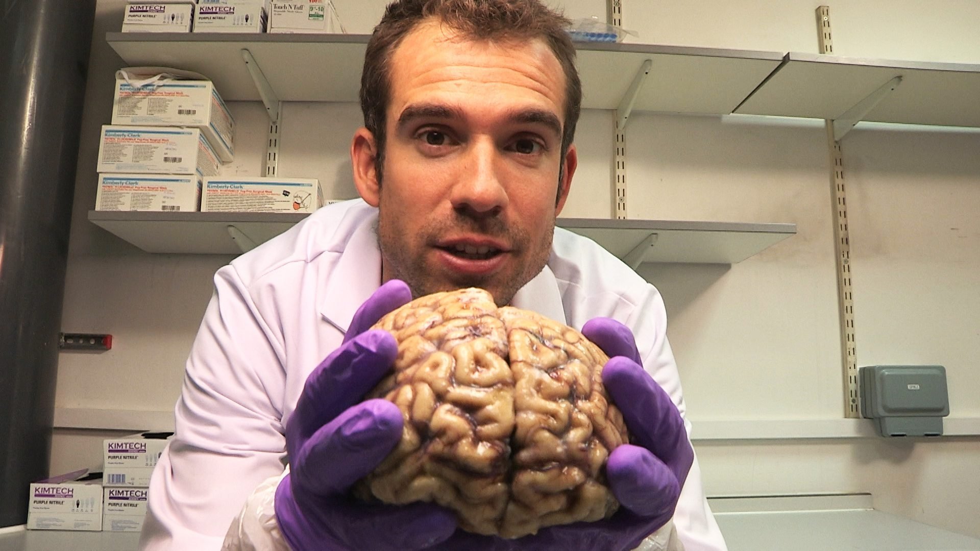 Thumbnail for Your Brilliant Brain Season 1 Episode 2
