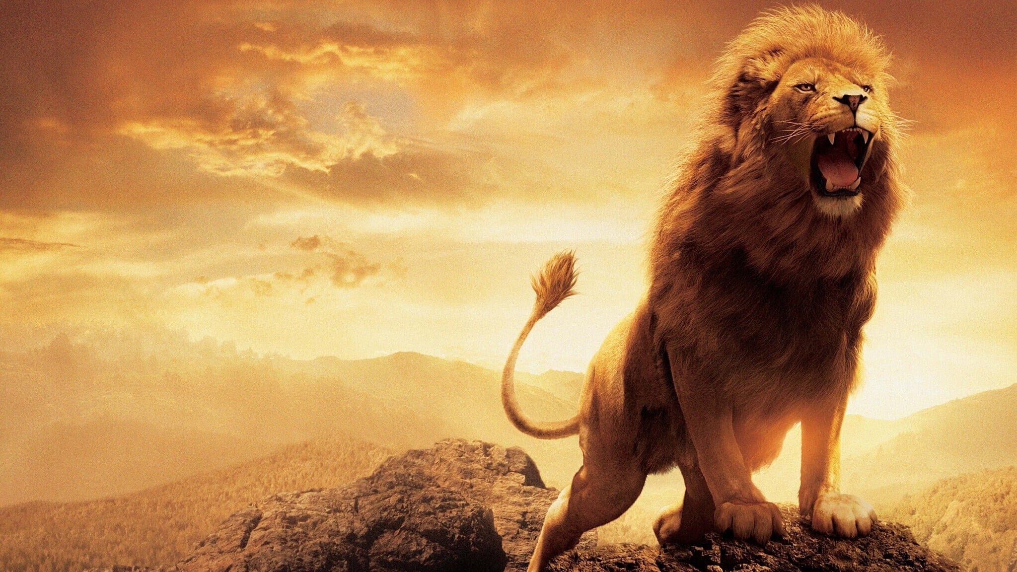 Narnian tarinat: Velho ja leijona (2005)