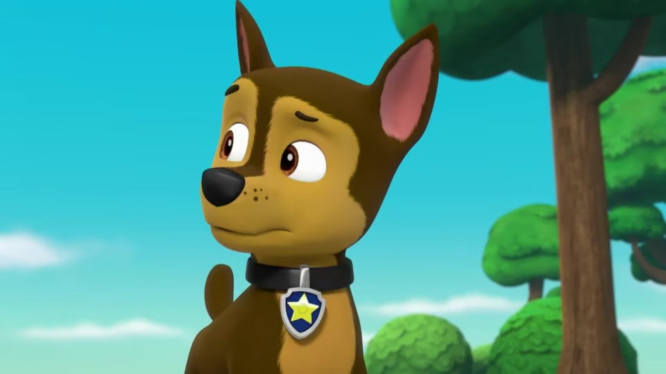 PAW Patrol Season 6 :Episode 10  Pups Save Mayor Goodway's Purse