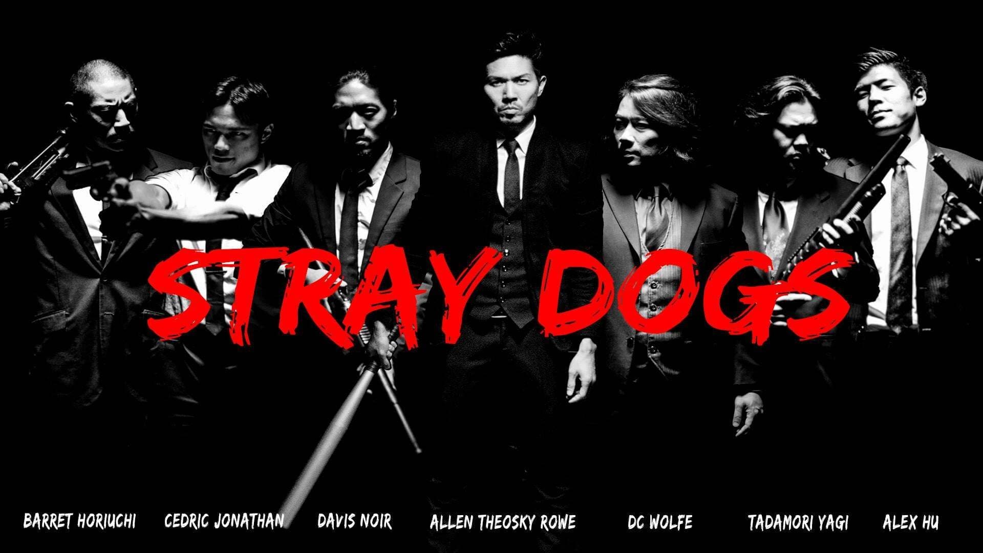 Stray Dogs