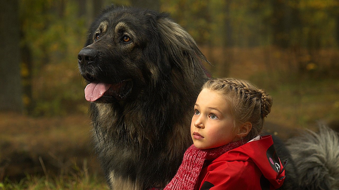 Stormheart (2008)