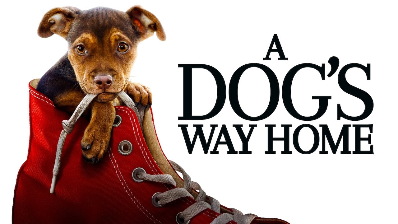 A Dog's Way Home (2019)