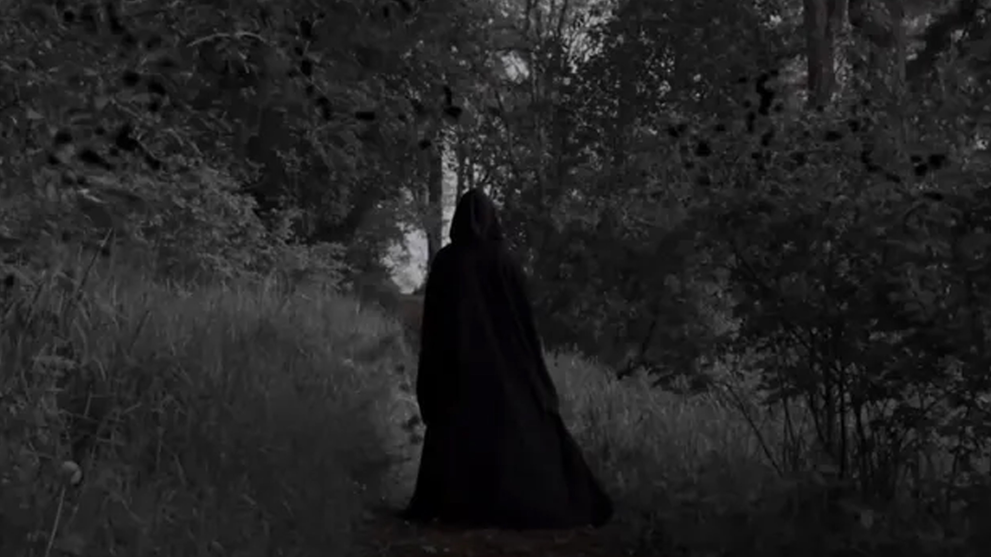 Sinu Pimedus (2019)