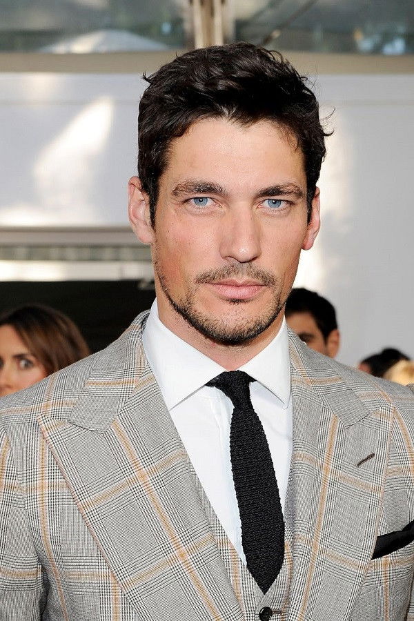 et billede af David Gandy