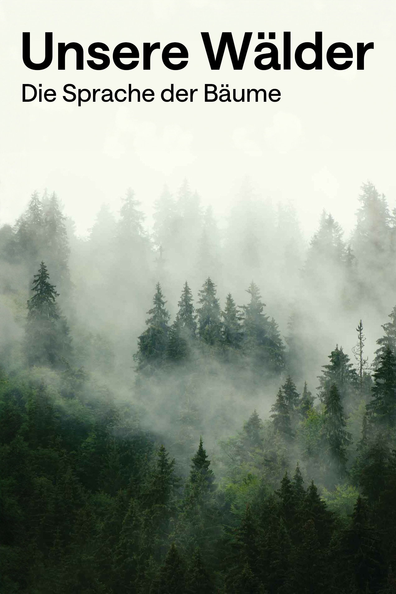 Unsere W&auml;lder: Die Sprache der B&auml;ume