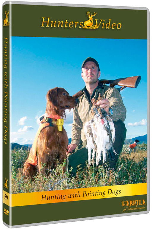 Jagt Med Stående Hund