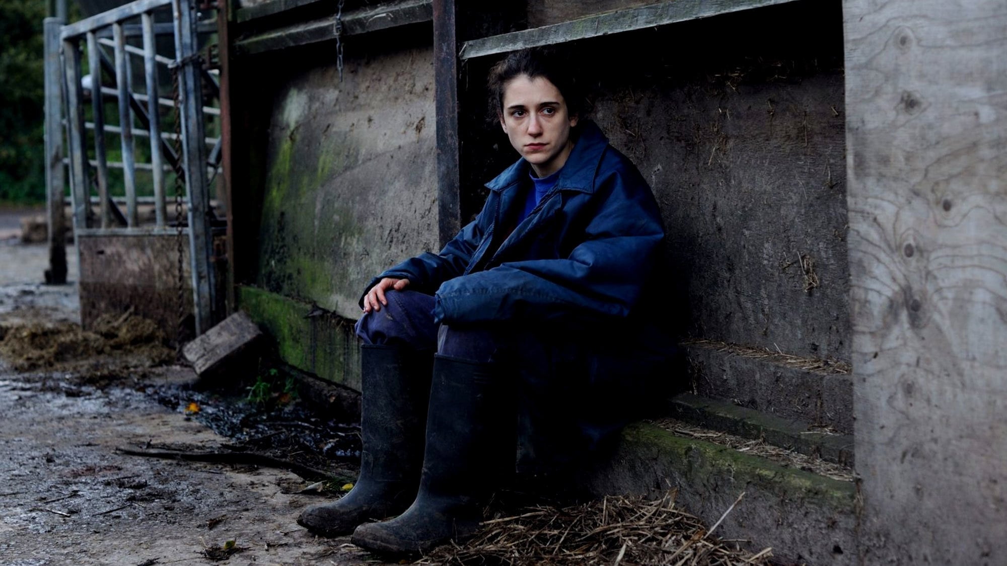 The Levelling (2017)