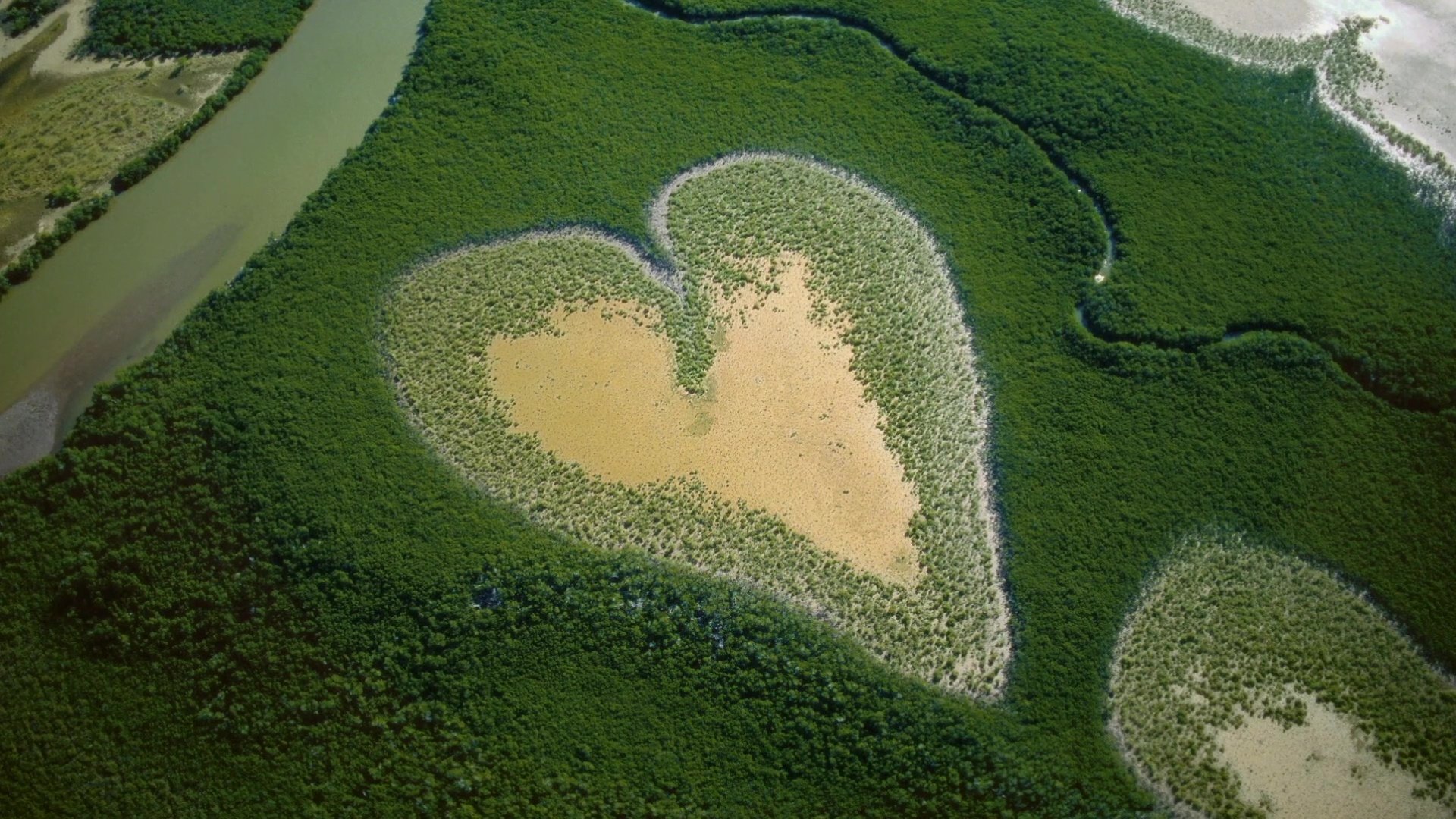 Nature : pour une réconciliation