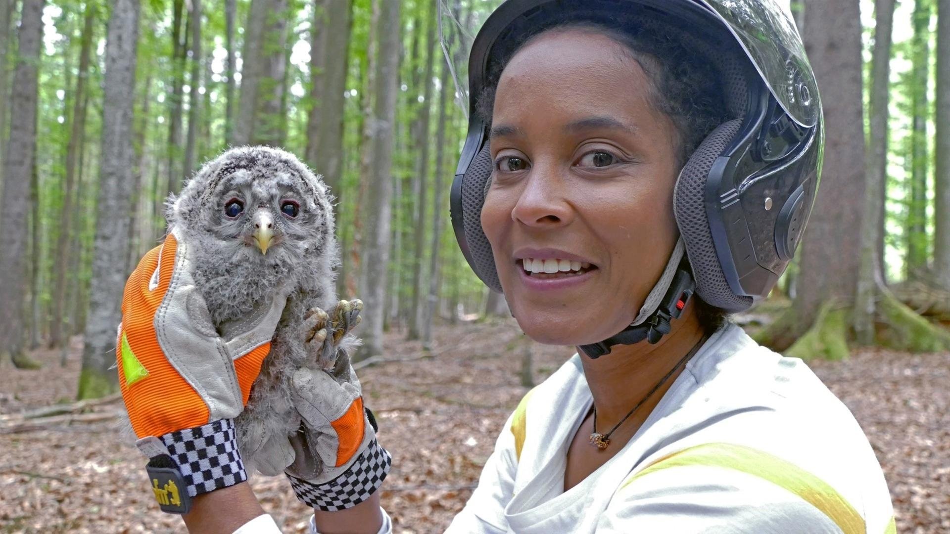 Pia und die wilden Tiere