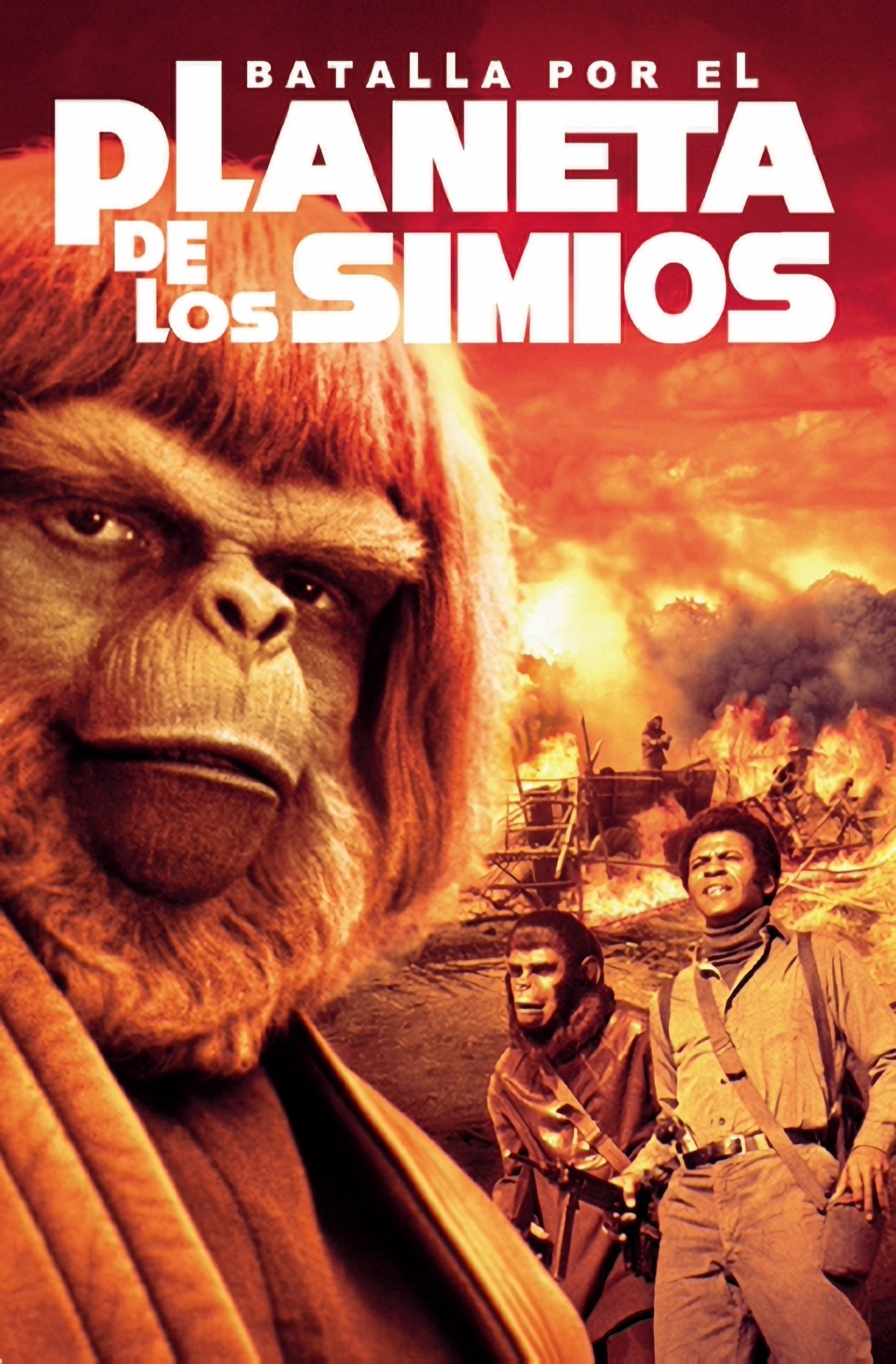Poster 5