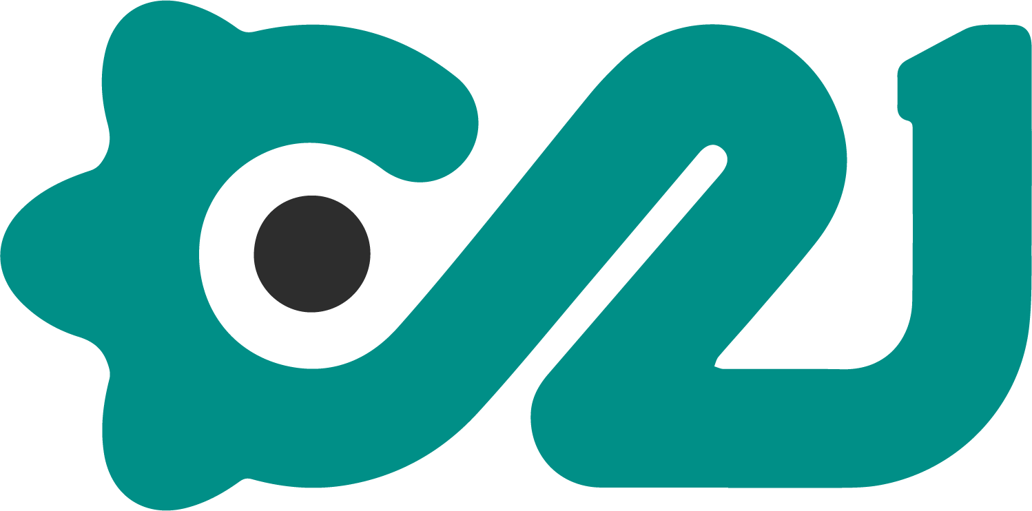 CAPITAL 21