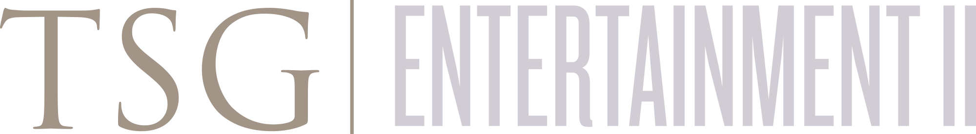 Logo de la société TSG Entertainment II 19563