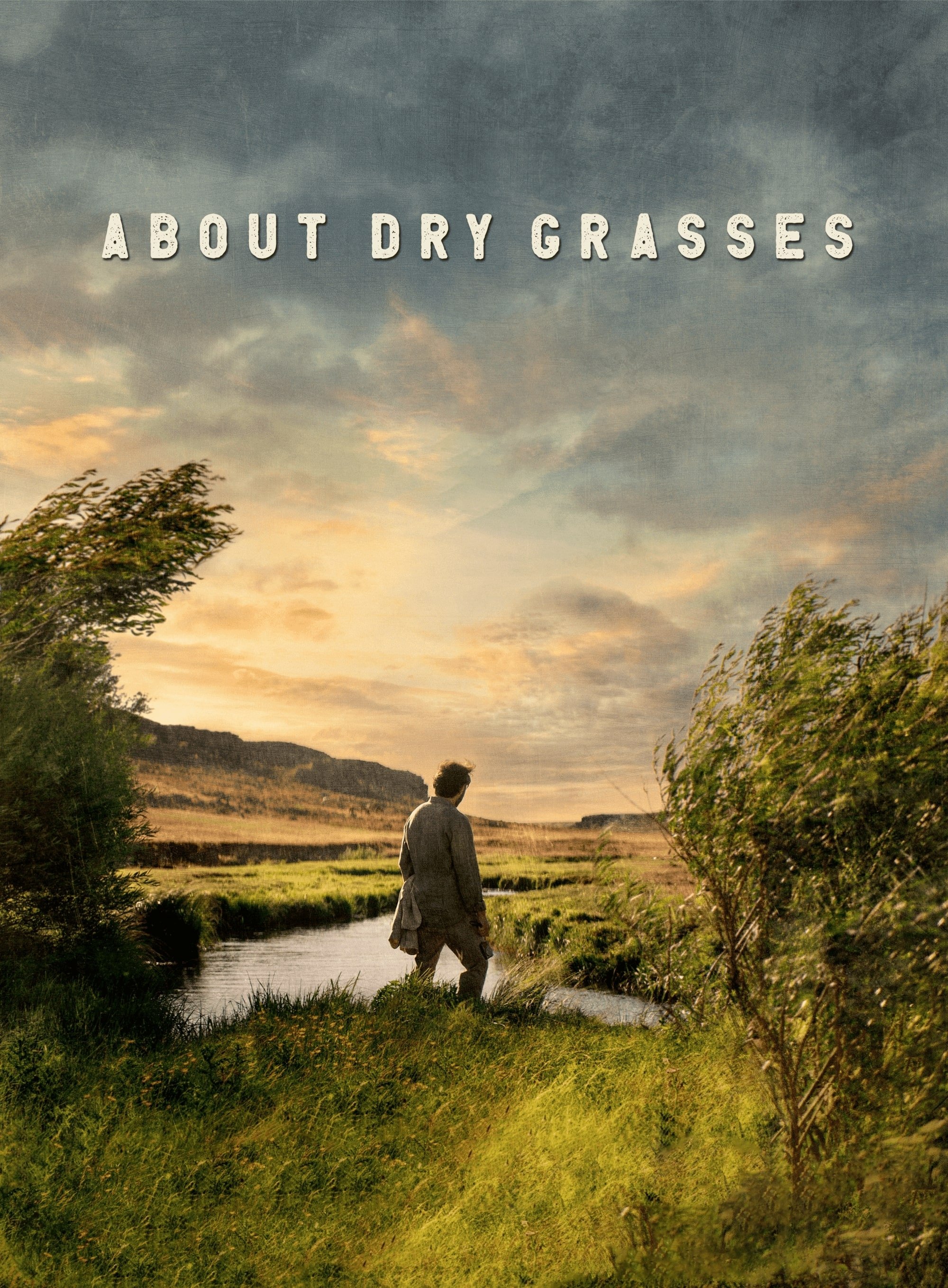 About Dry Grasses