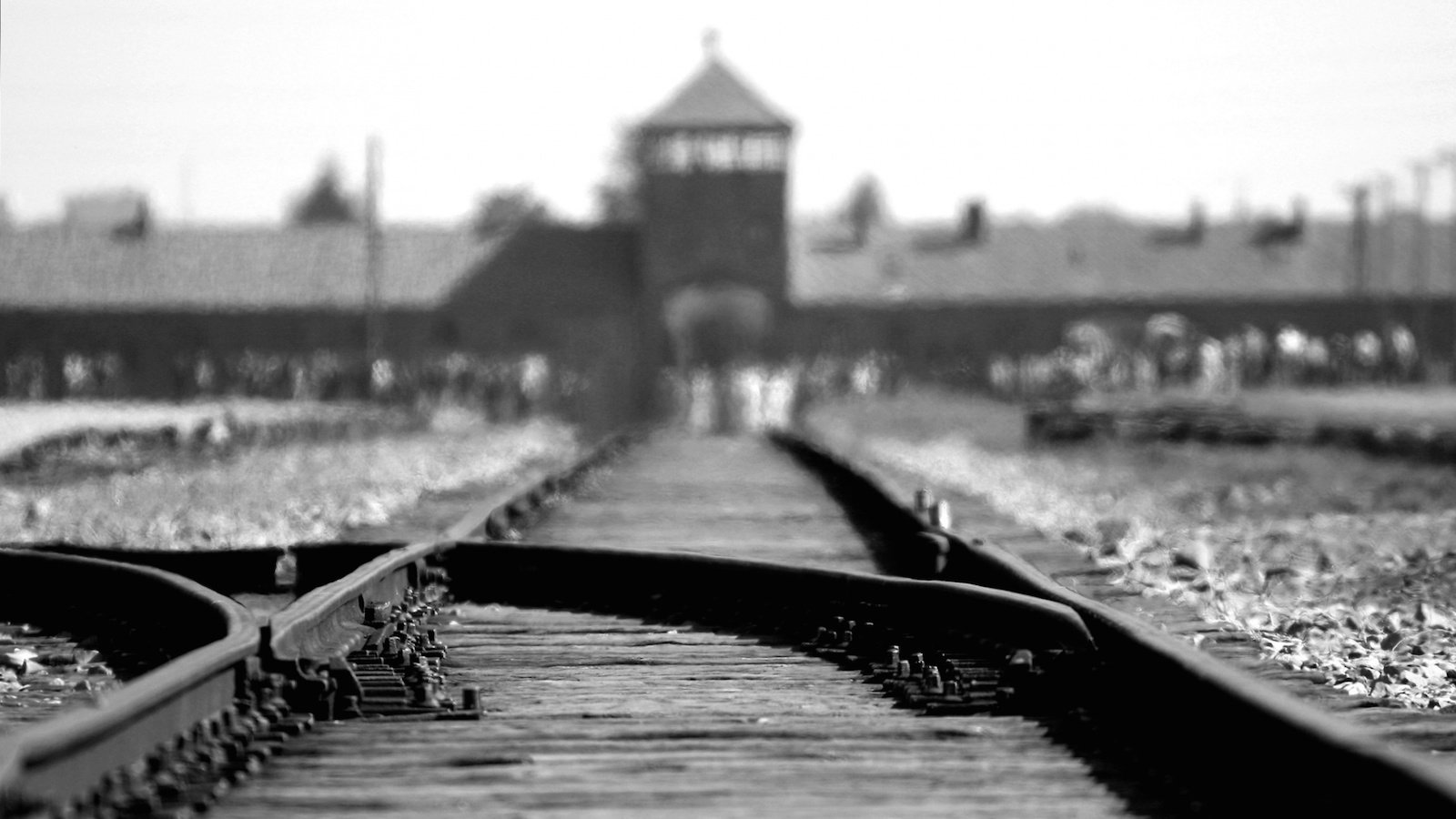 The Escape from Auschwitz (2020)