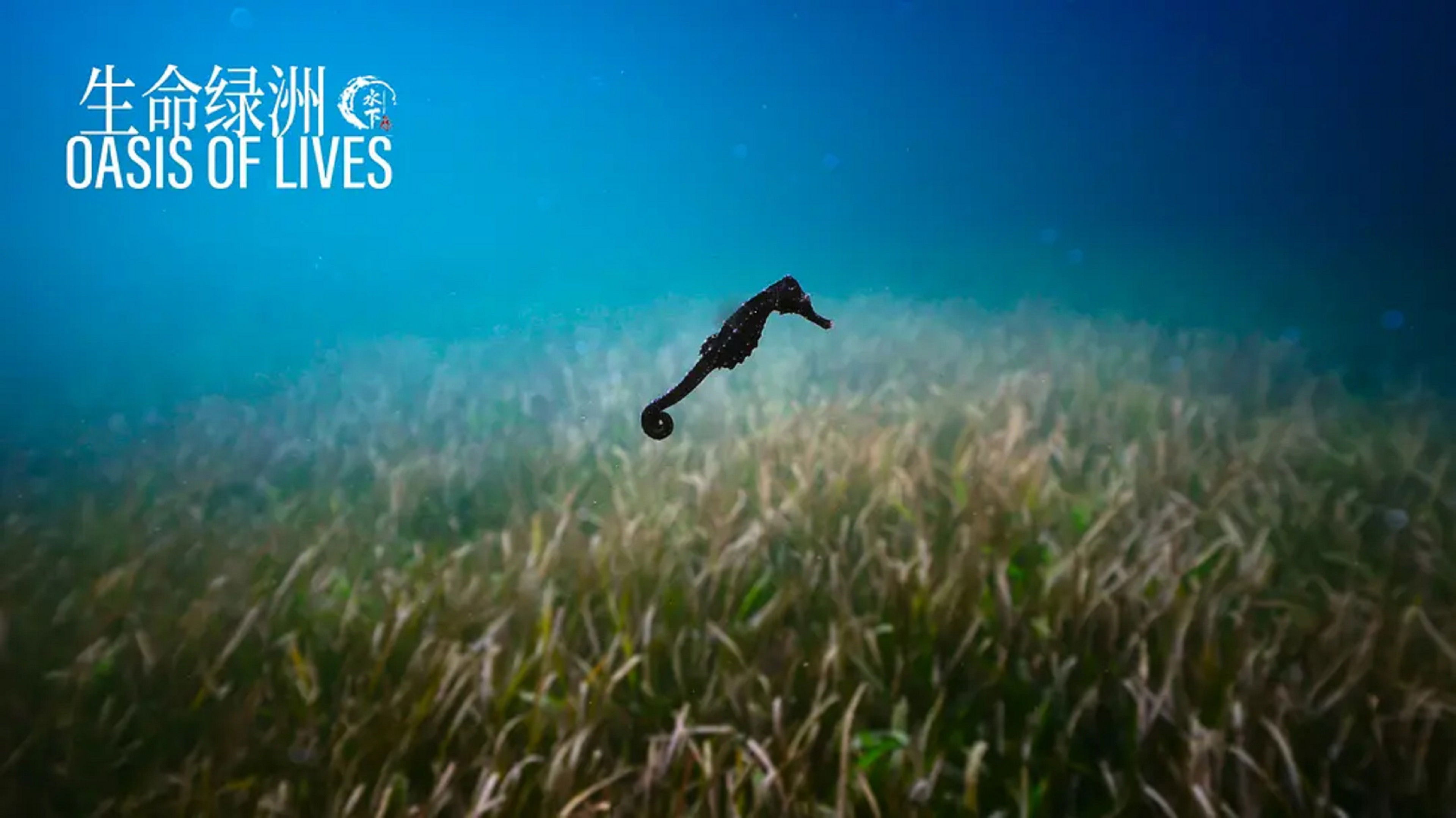 Thumbnail for Episode 5 Season 1 Episode 5