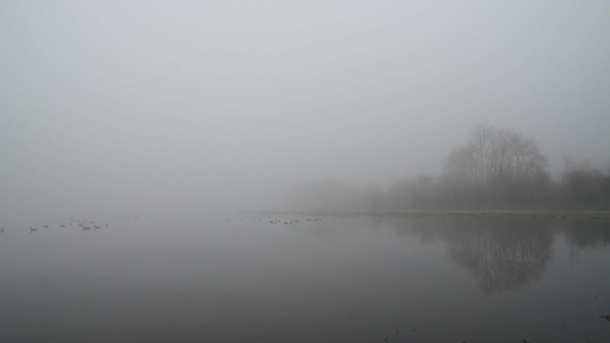 Port Meadow (2022)