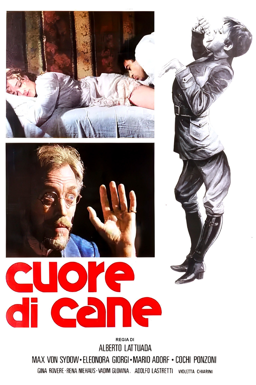 Cuore di cane