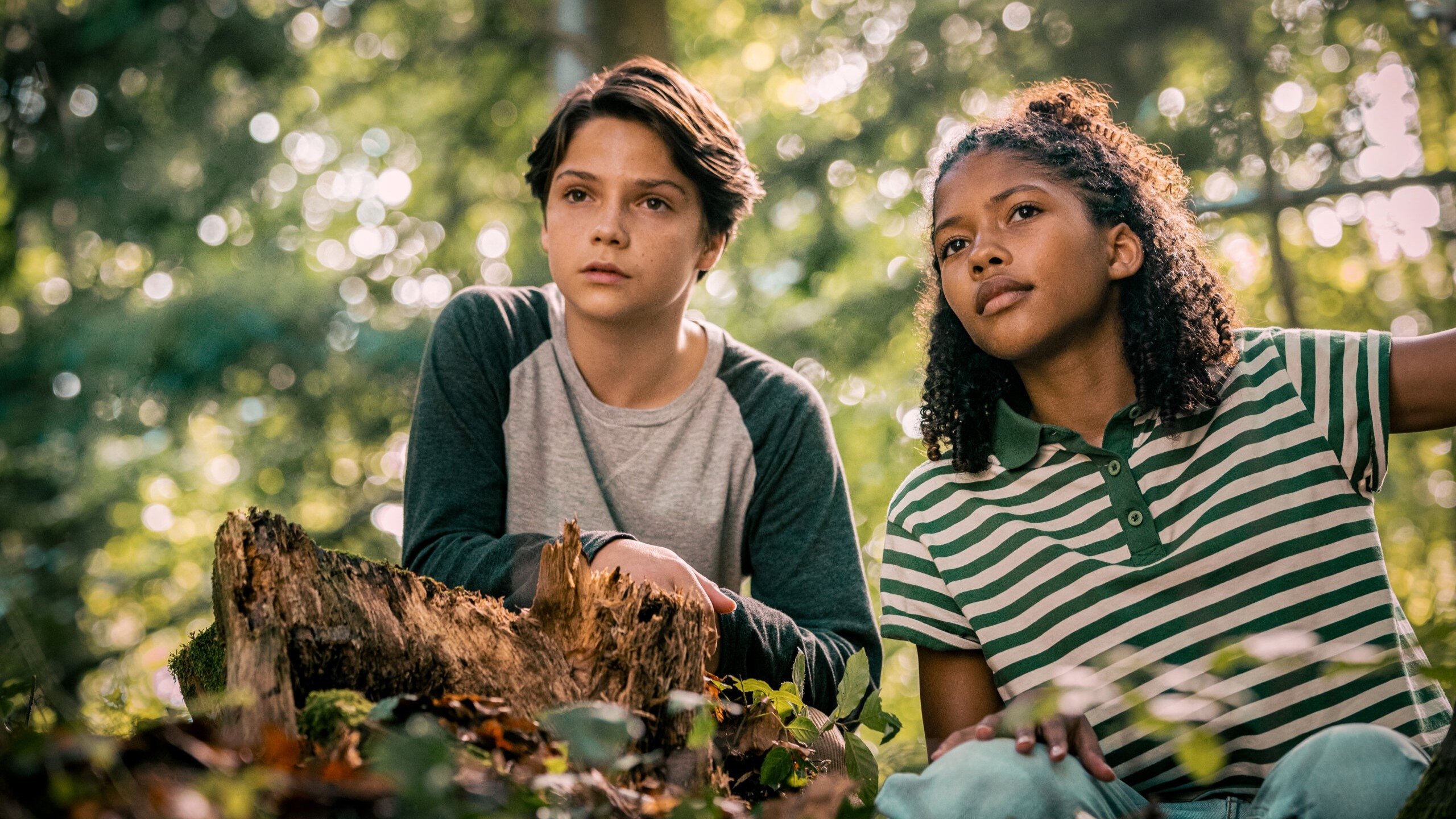 Woodwalkers 9xmoviesa space Woodwalkers 9xmoviesa space