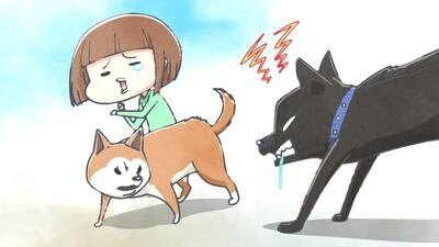 Thumbnail for The Dog Before the Previous Dog Season 1 Episode 11