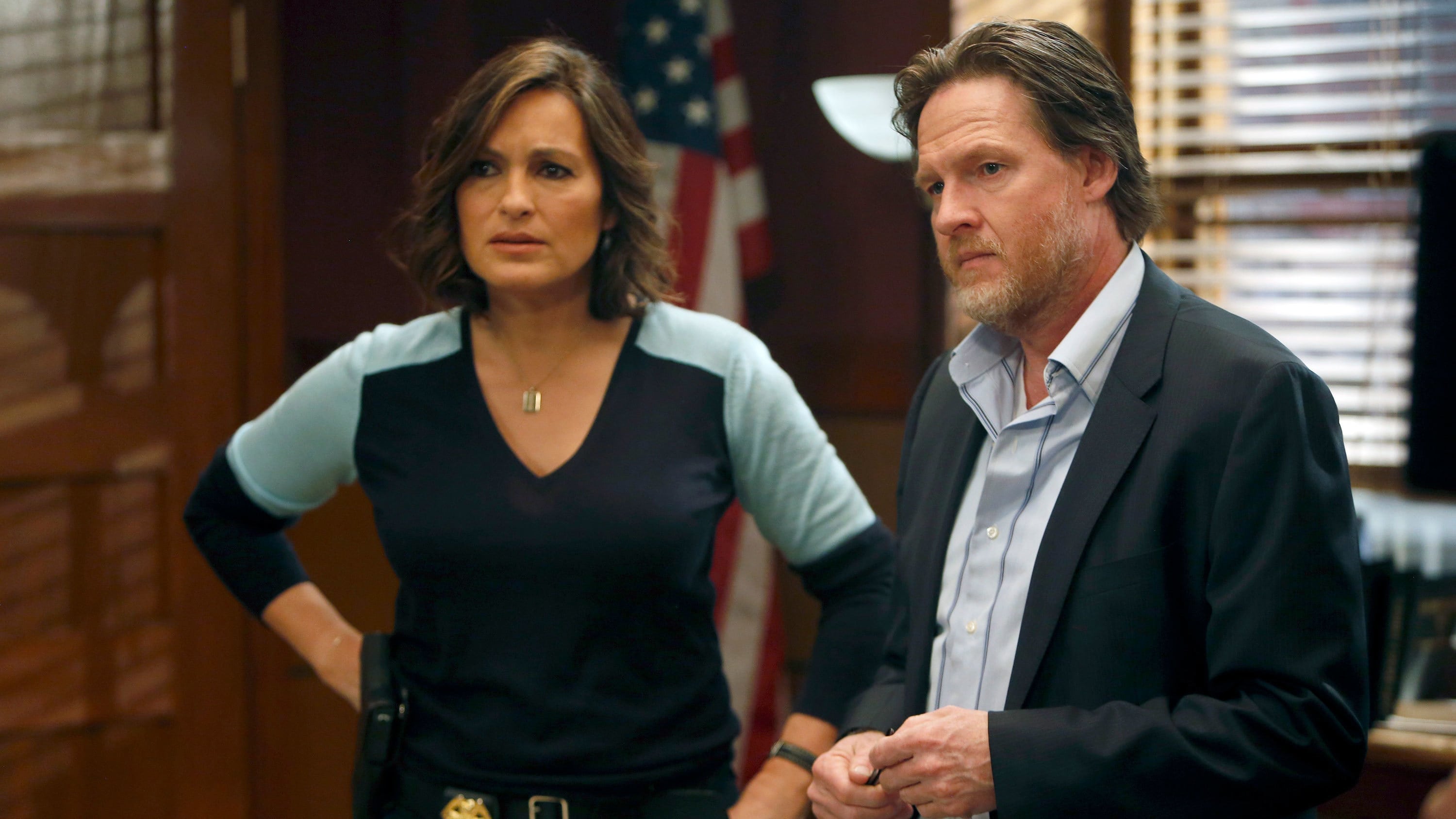 Law & Order: Special Victims Unit Season 15 :Episode 22  Reasonable Doubt