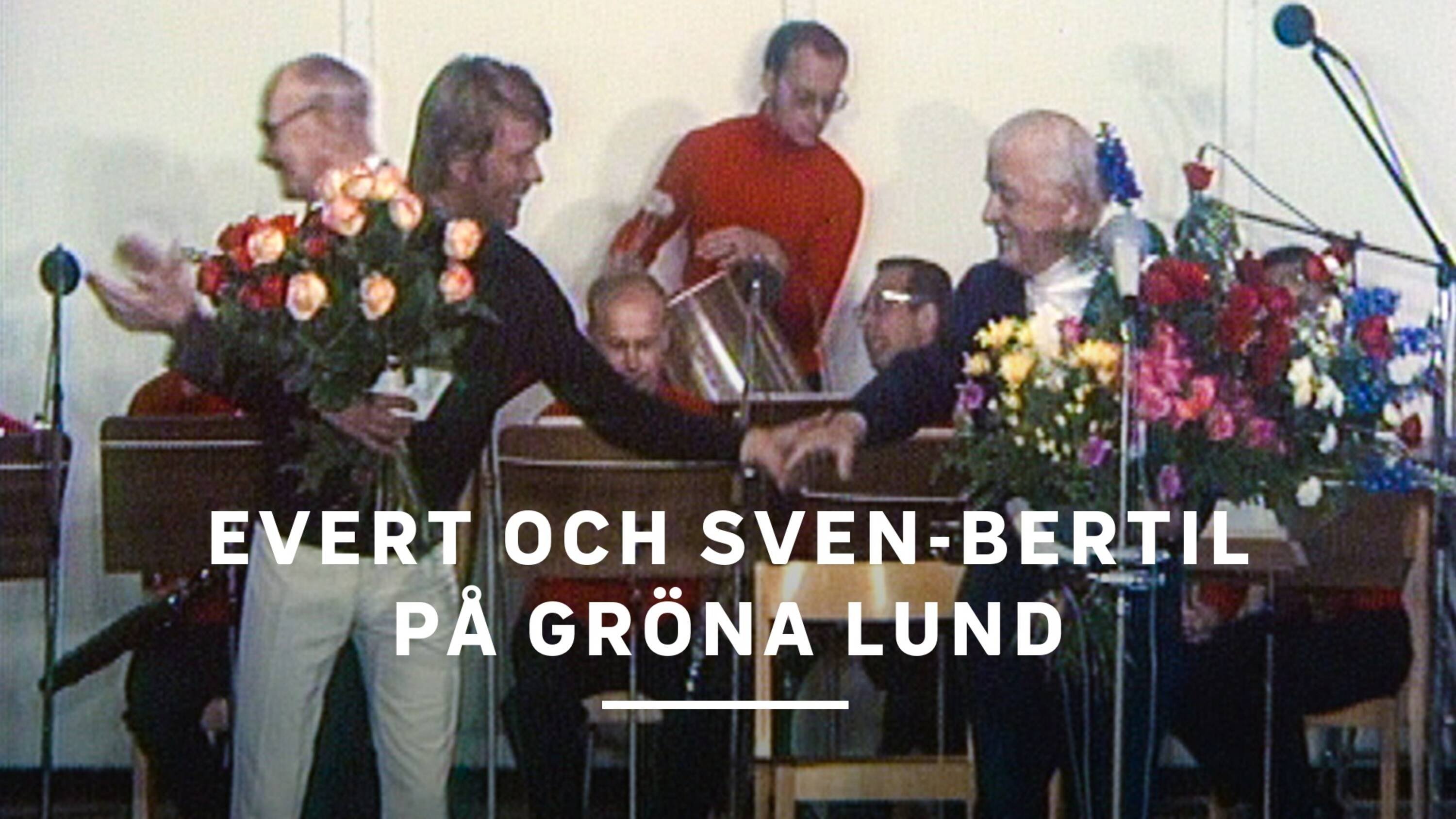 Imagem do Filme Evert och Sven-Bertil på Gröna Lund
