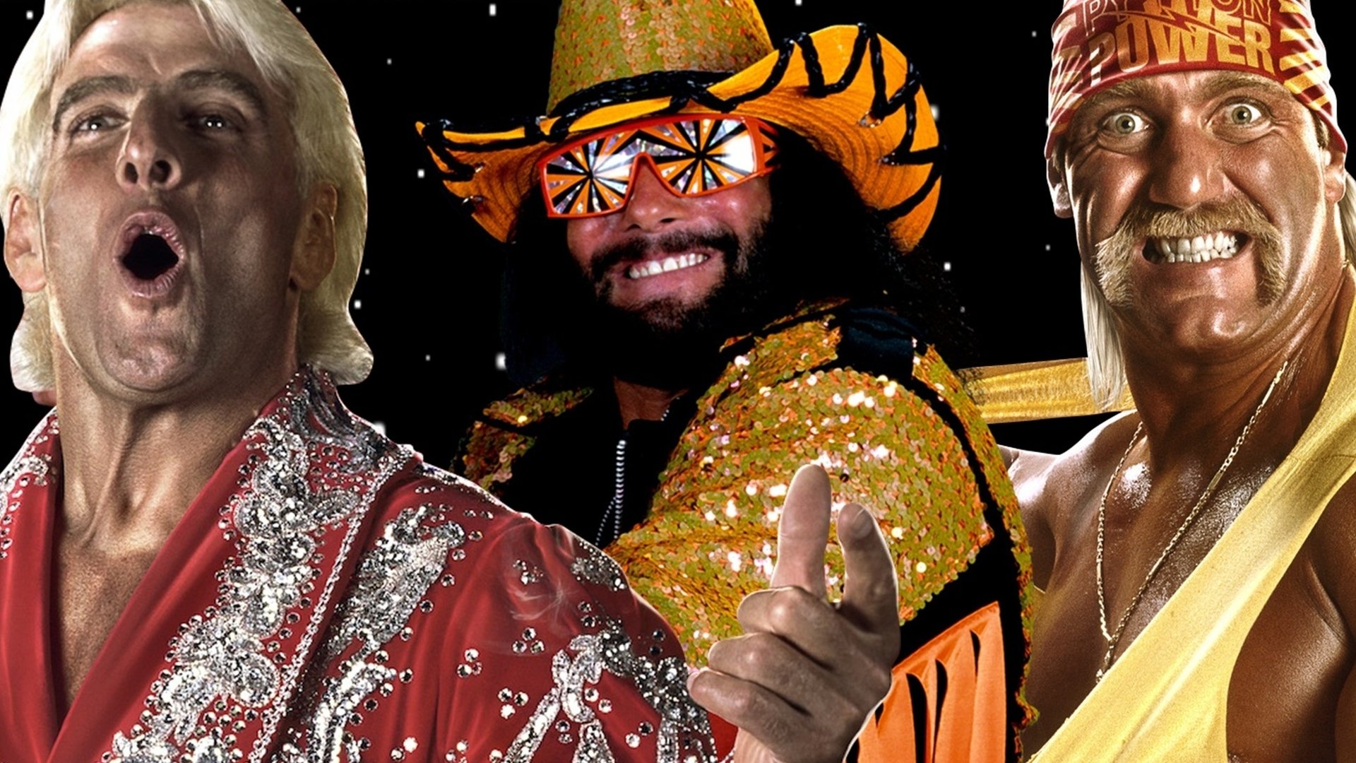 WWE WrestleMania VIII (1992)