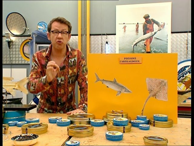 C'est pas sorcier - L'esturgeon : le poisson aux œufs d'or