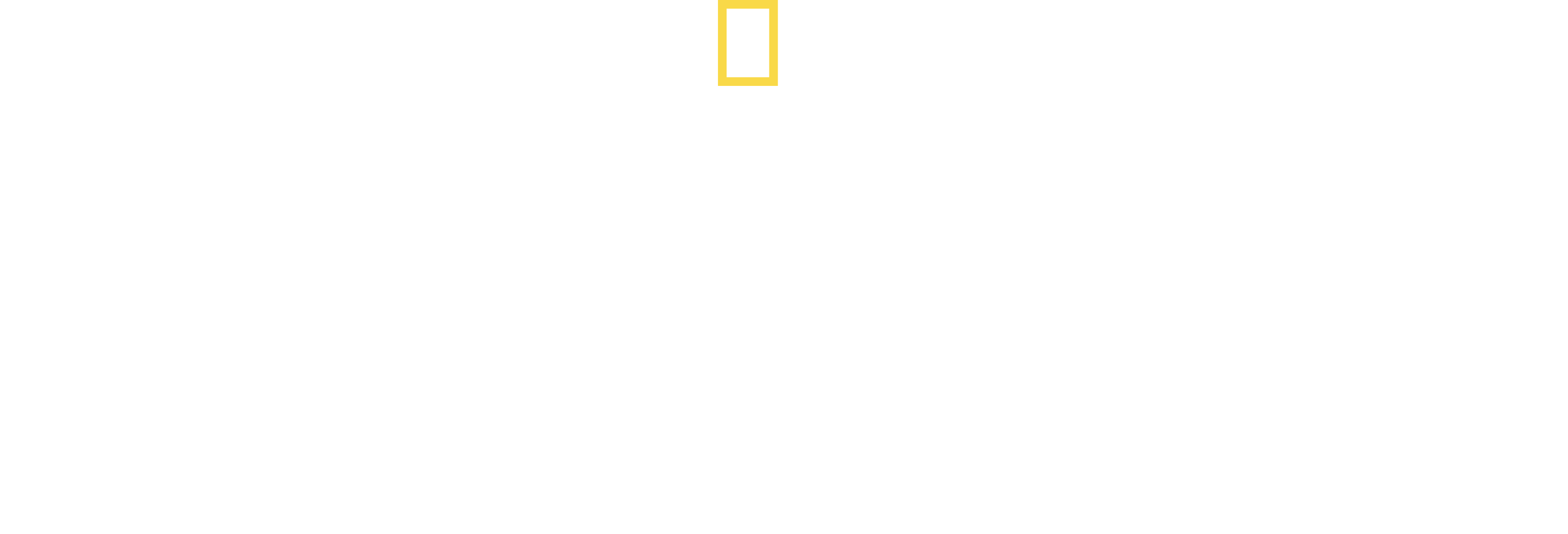 Ultimate Tutankhamun Logo