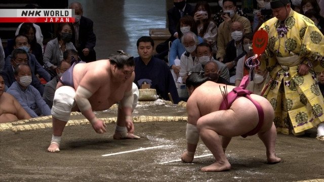 GRAND SUMO Highlights Season 11 :Episode 1  Day 1