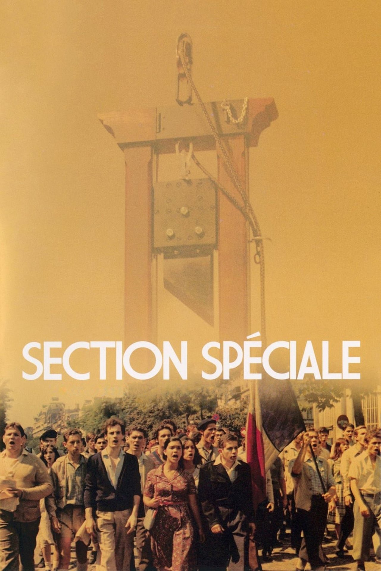 Section spéciale streaming