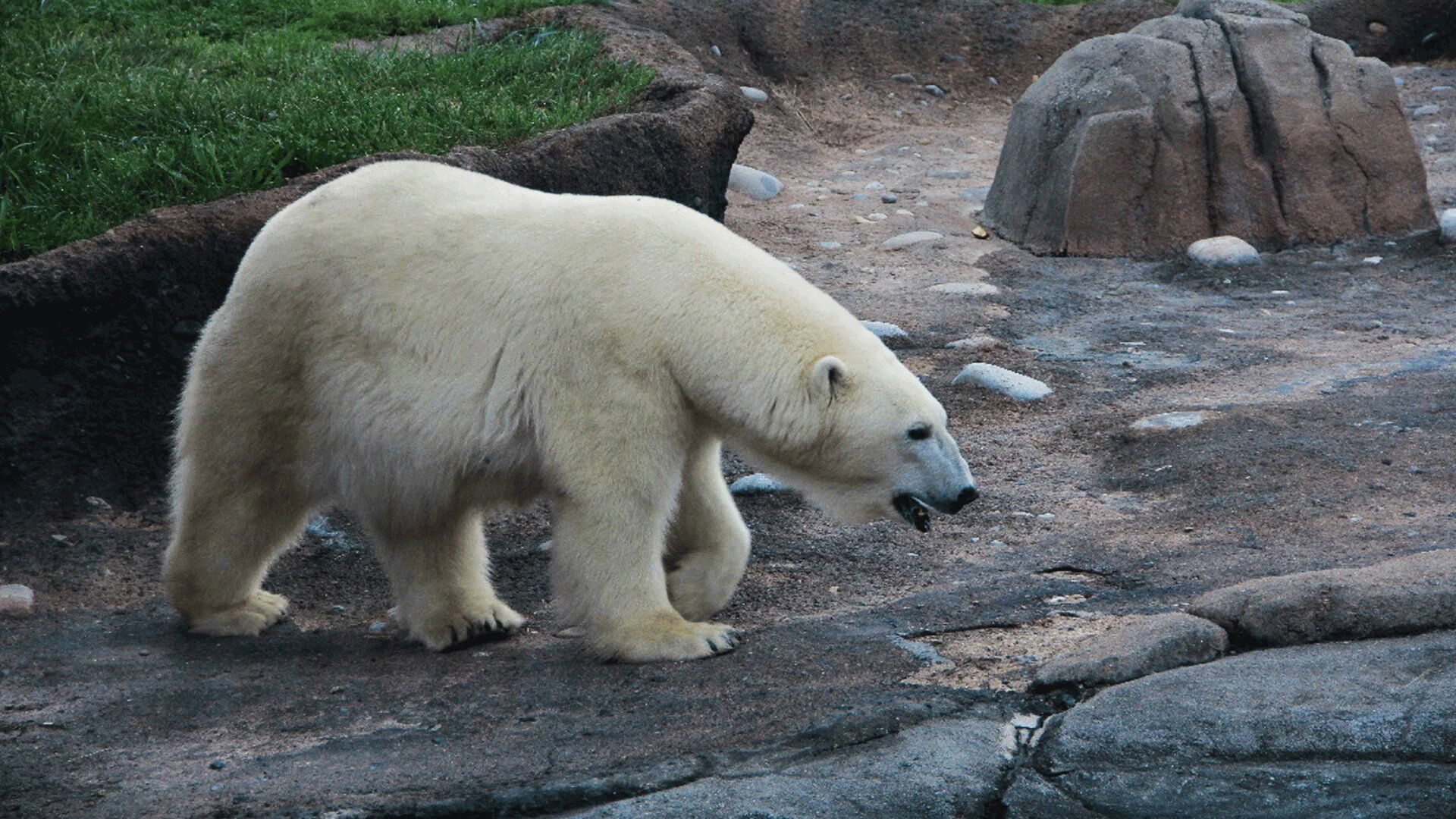 Secrets of the Zoo