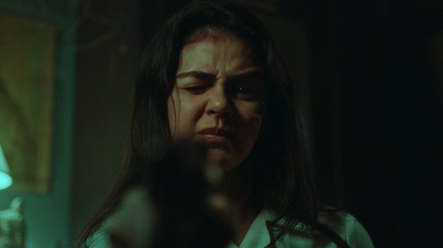 The Girl and The Gun (2019)
