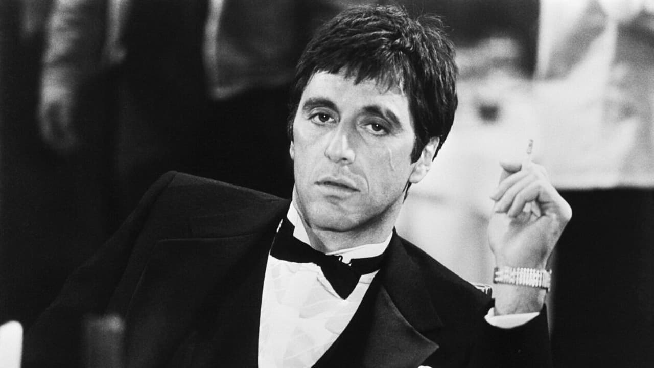 Al Pacino, le Bronx et la fureur