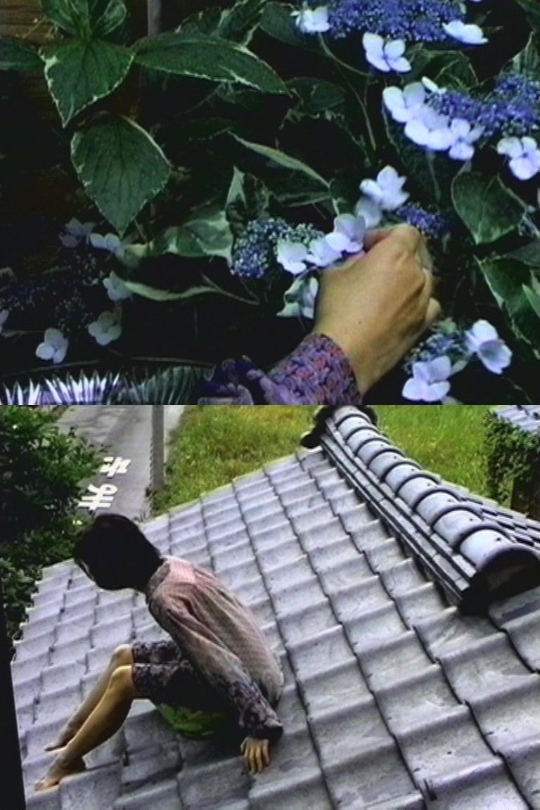 Content cover